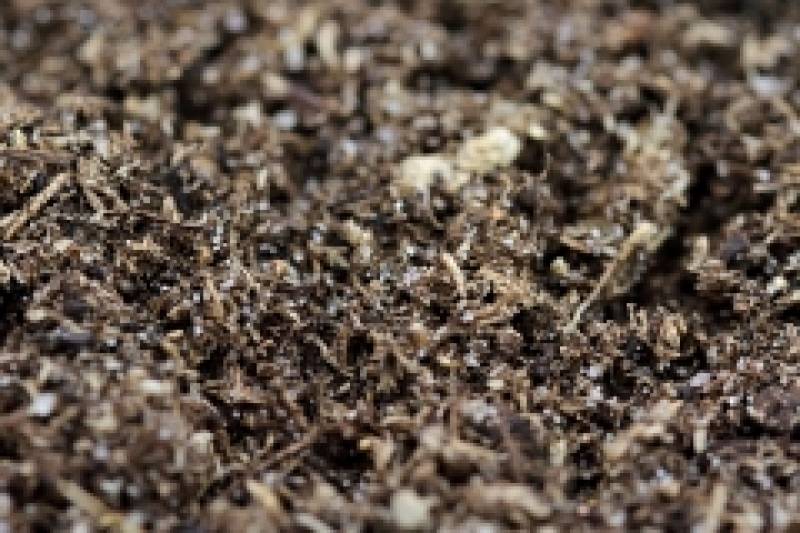 Preview: Spider Ground 2,5kg